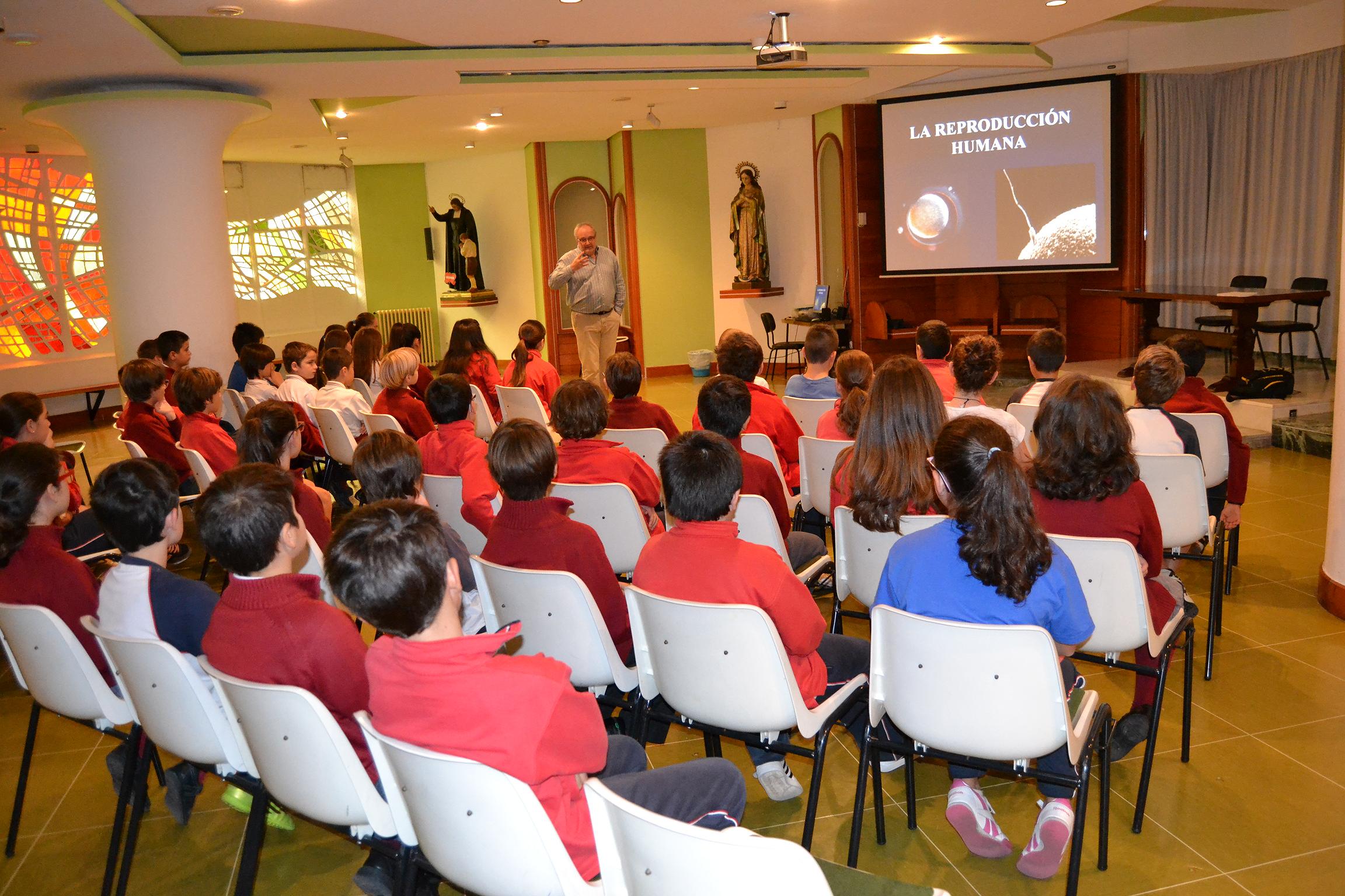 Charla reproducción