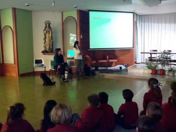 Educando a mi dueño