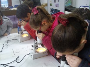 Los Viveros. 2º Primaria