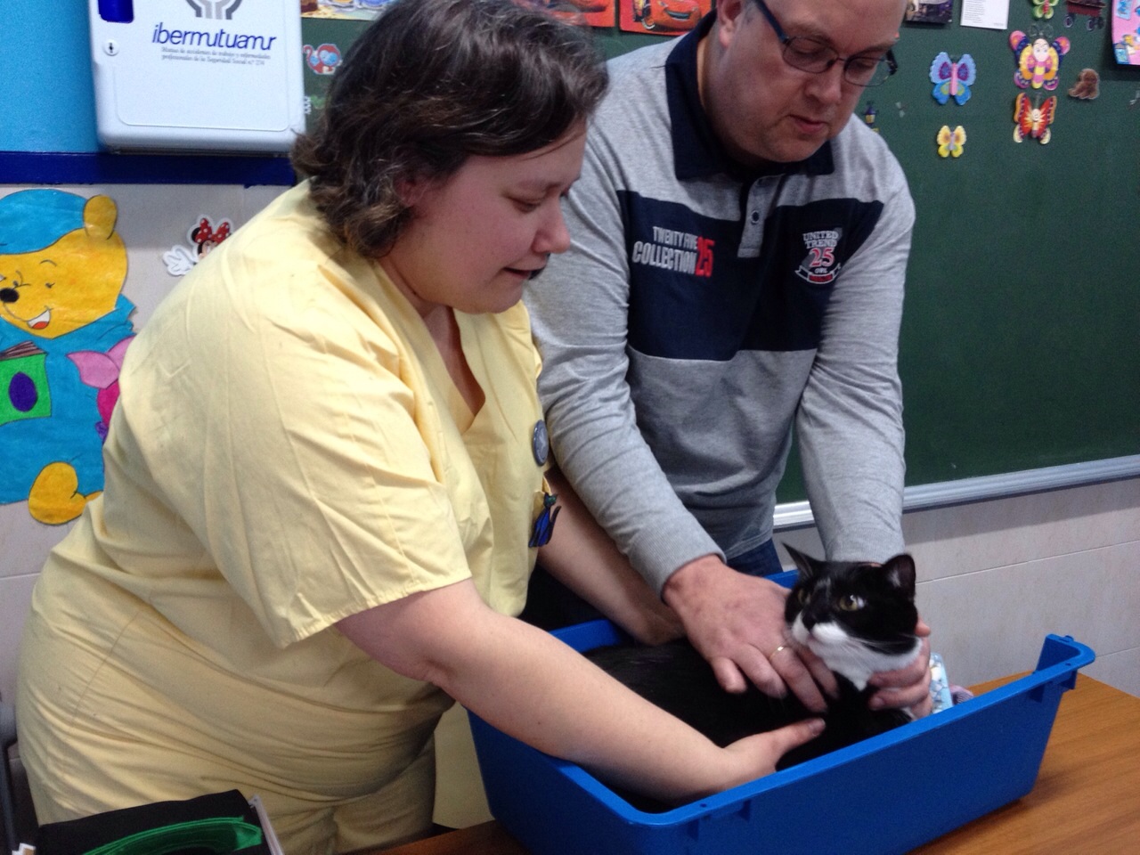 El cuidado de los animales