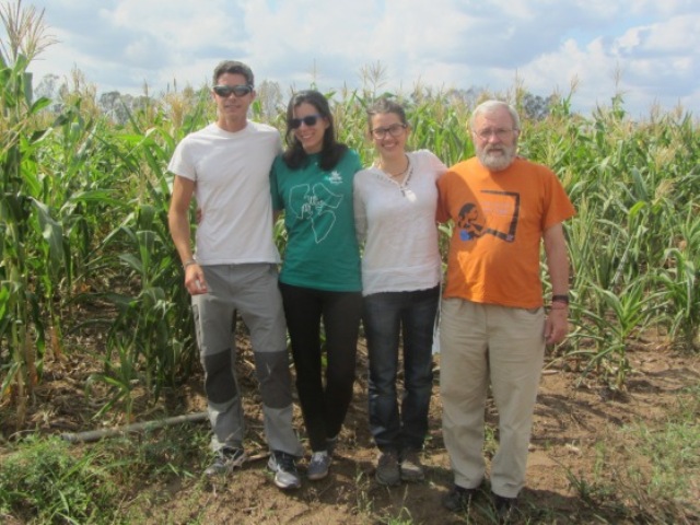 Proyectos verano 2015