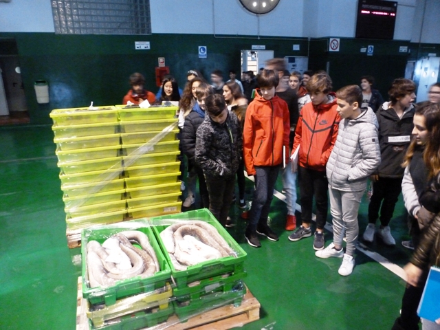 3ºESO conoce puerto de Santander