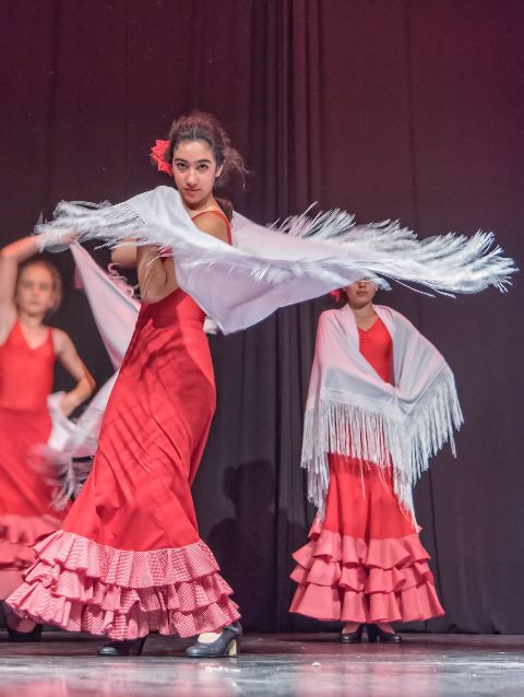 Comienza Ballet La Salle