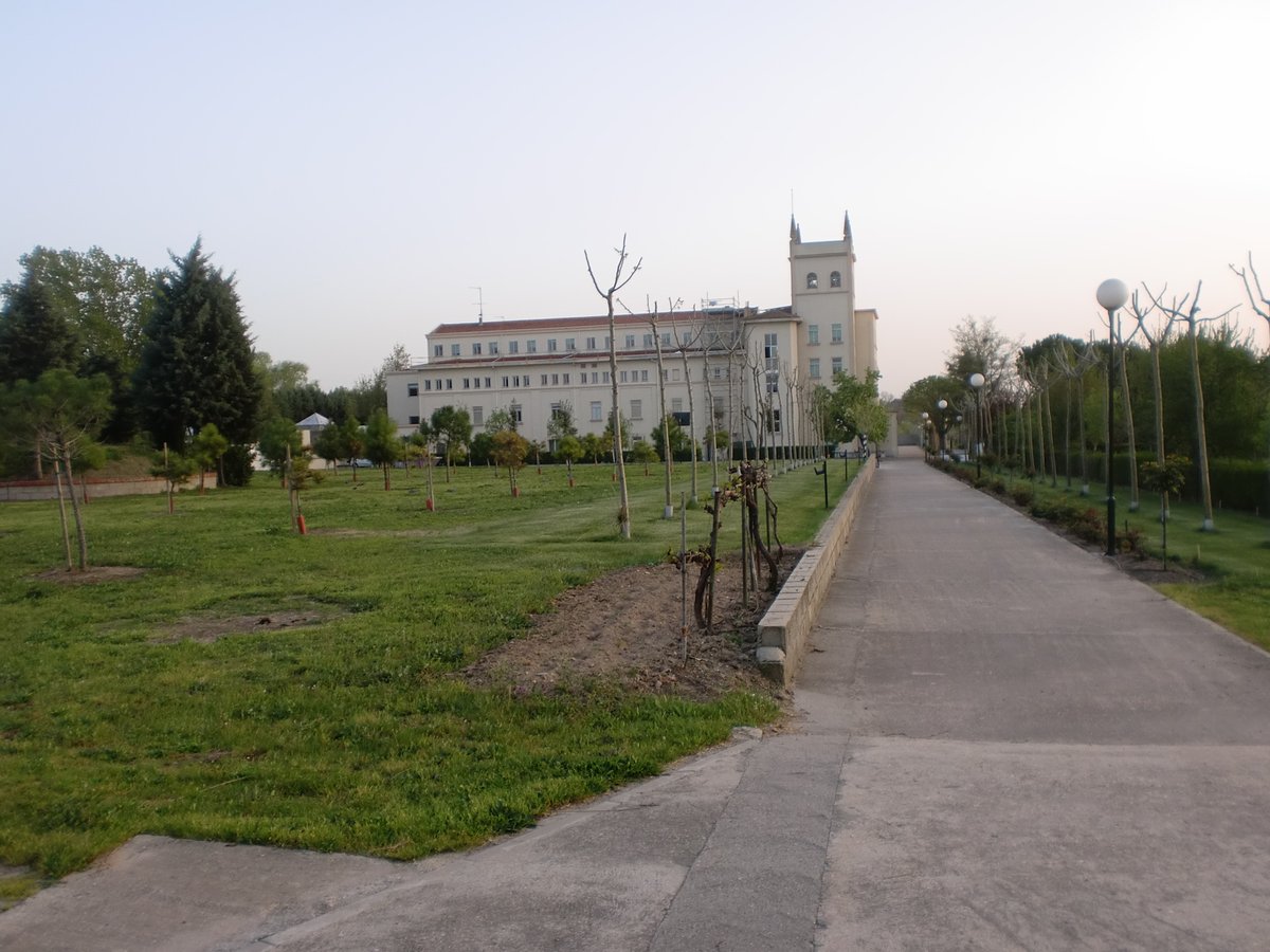Formación profesores nuevos de primer año