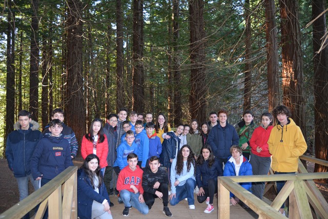 Club de Ciencias conoce el bosque de las Secuoyas