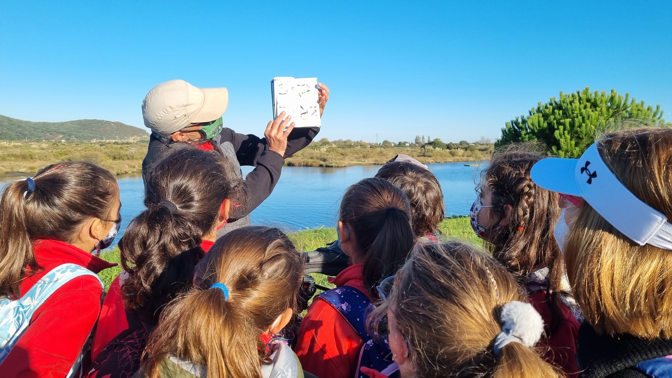 PN Marismas de Santoña