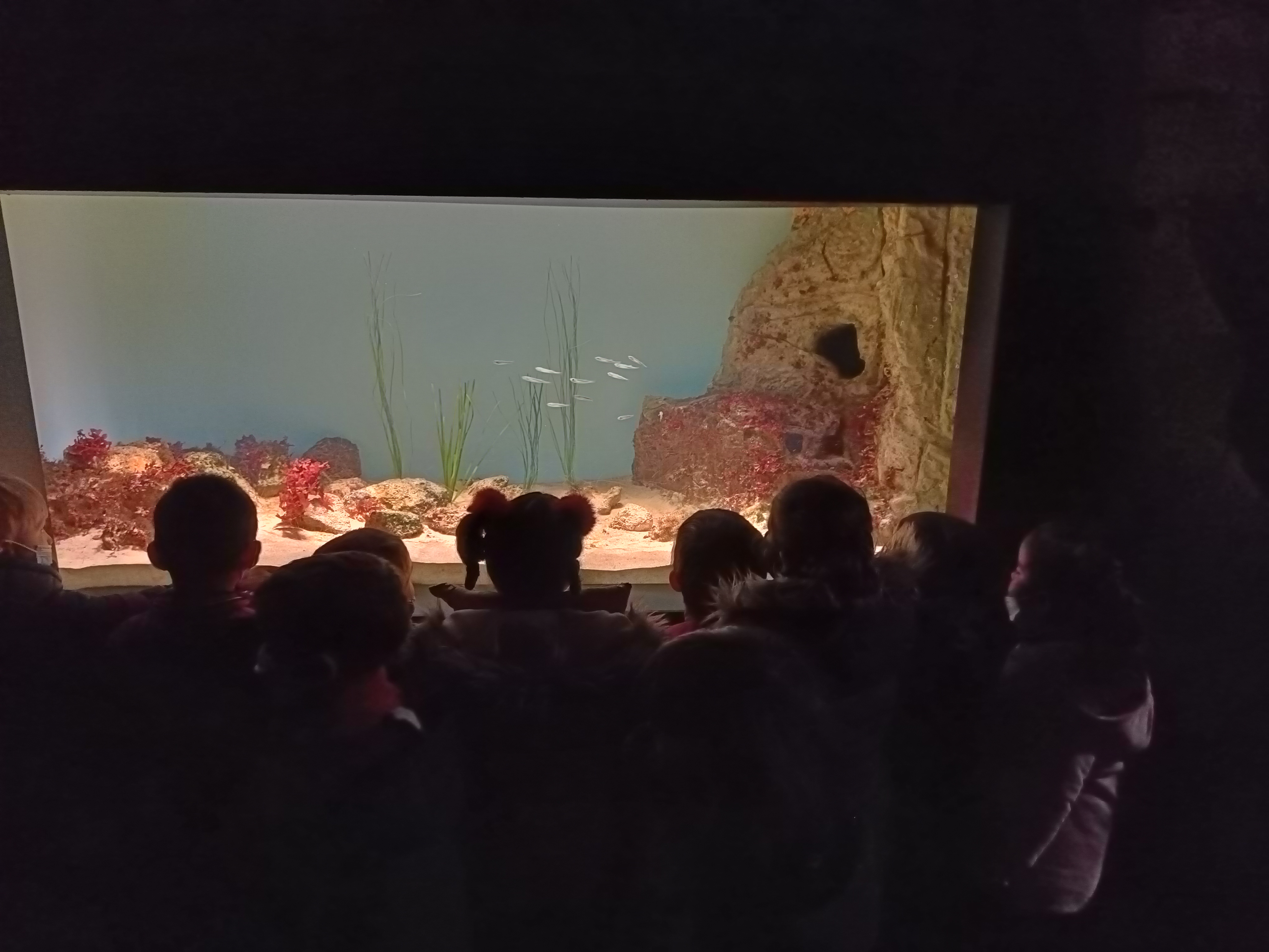 Visita Museo Marítimo. 3 años