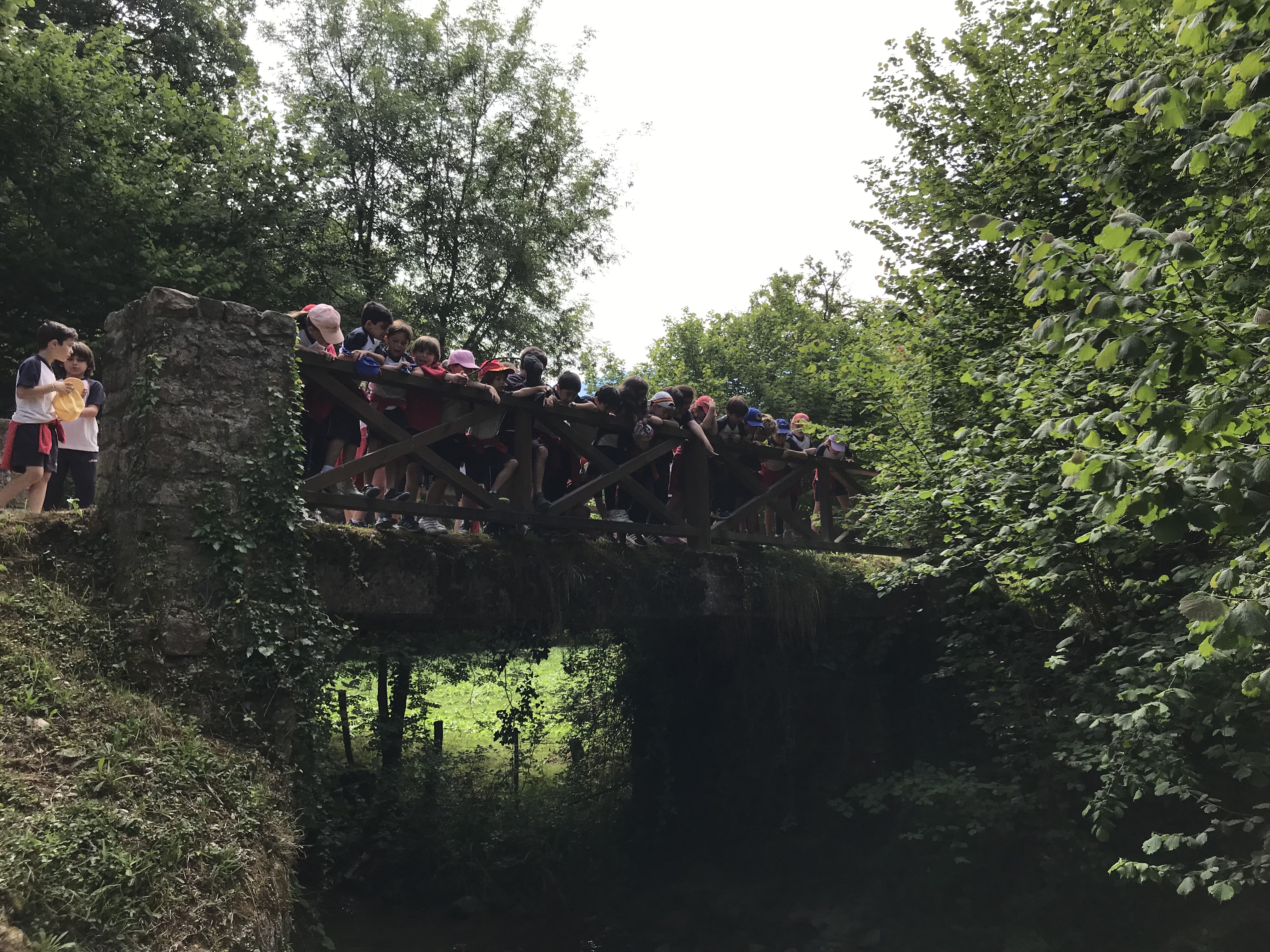 Ruta San Felices. 2º Primaria