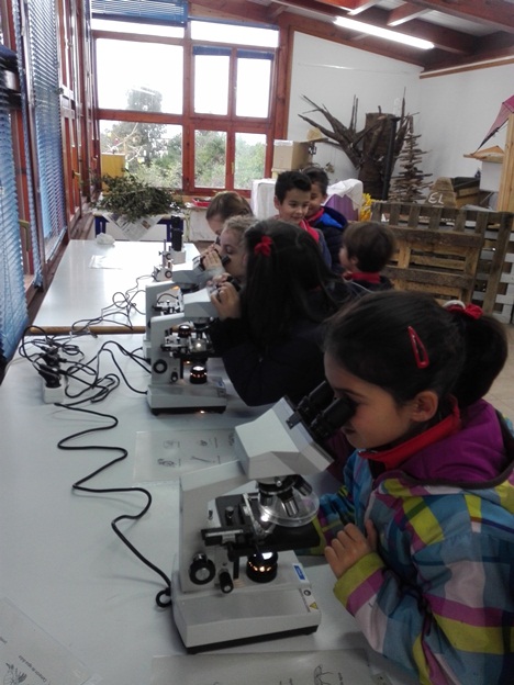 Primaria visita los Viveros